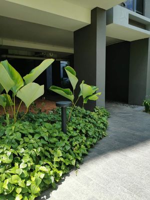 ডাই কাস্টিং সিওবি বাইরের বলার্ড লাইটিং এলইডি আইপি 65 জলরোধী